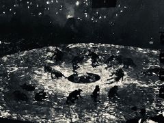 -大连体育中心体育馆