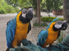 -北京野生动物园