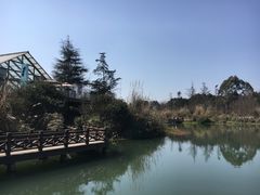 -桤木河湿地公园