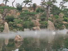 -罗红摄影艺术馆