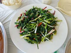 -庆岭迎宾园正宗活鱼馆