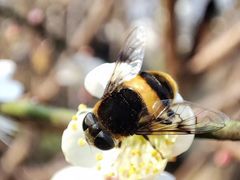 -广州市流溪河国家森林公园
