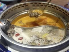 -快乐小羊·内蒙牛羊肉火锅(流花中心店)