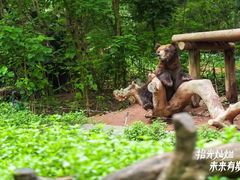 -广州长隆野生动物世界