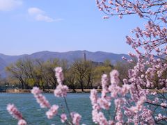 -颐和园