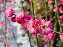 -徐家汇公园