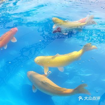 地理位置: 海心沙公园  特色推荐: 市内首次这么大