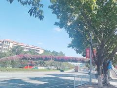 -火炉山森林公园