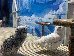 -成都浩海立方海洋公园