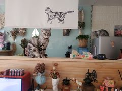 -平行世界·猫咖(首经贸店)