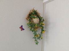 -小隐·采耳头疗spa(环宇城店)