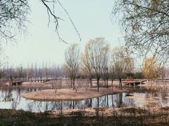 -东郊湿地公园