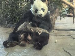 -泉州海丝野生动物世界