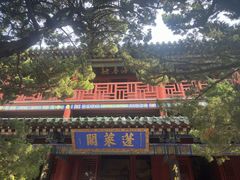 -蓬莱阁景区