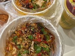 -邓氏大薄片