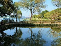 -西湖外事游船(花港观鱼码头)