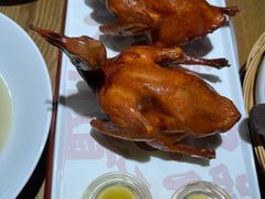 -大鸽饭(岗顶店)
