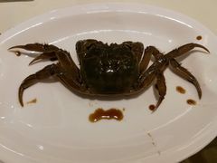 醉蟹-绍兴饭店知遇楼(环山路店)