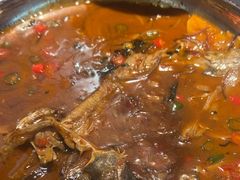 -辣可可·小炒黄牛肉(望京凯德MALL店)