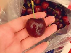 -江杨农产品批发市场