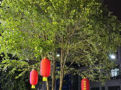 -陈有良尖椒鸡(江津总店)