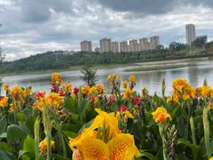 -安宁市宁湖森林公园