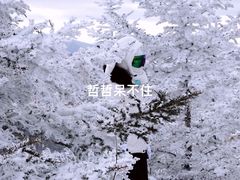 -密苑云顶乐园(云顶滑雪场)