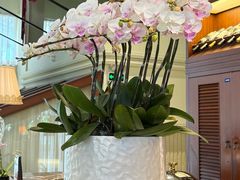 -金河半岛园林酒家(金融城店)