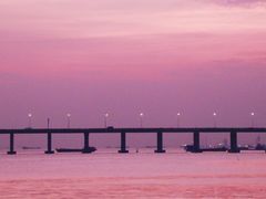 -宝安西湾红树林湿地公园