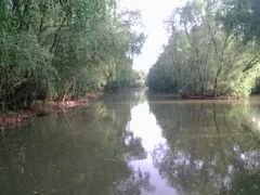 -大湾区中央湿地公园