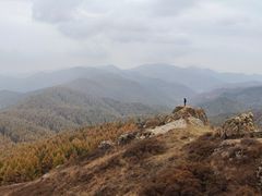 -苏木山森林公园