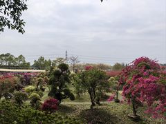 -盈香心动乐园