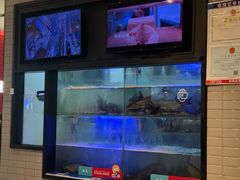 -鱼酷活鱼烤鱼(南京水游城店)