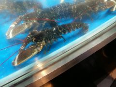 -盒马鲜生(杭州运河上街店)