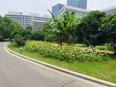 -夏阳湖皇冠假日酒店-自助餐厅