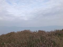 -抚仙湖禄充风景区
