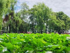 -四川大学(望江校区)