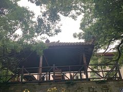 -普陀山雷迪森庄园