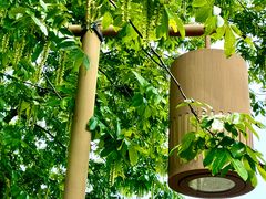 -梁鸿国家湿地公园