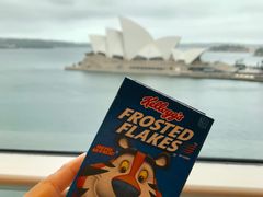 -悉尼歌剧院