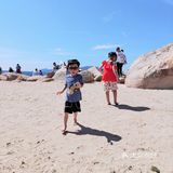 拿照片一问起他们还会记得这是芽庄！其他的也就可圈可点了