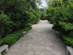 -万寿八仙宫