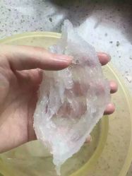 -WPlus明星肖像亲子全家福摄影