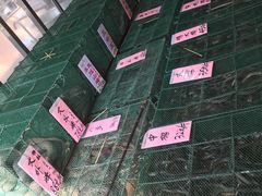-荔城生鲜盛宴(番禺旗舰店)