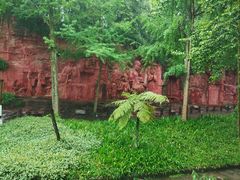 -峨眉山报国寺