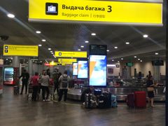 -谢列梅捷沃国际机场