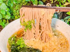 -森味薪火烧•烧鸟居酒屋•日本料理(望京店)