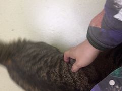 -天宠宠物医院24小时·急重症诊疗中心·全科·腔镜特色(和平分院)