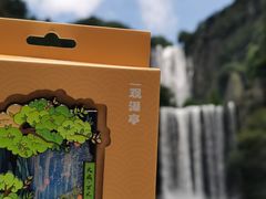 -刘伯温故里景区百丈漈