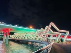 -演武大桥观景平台